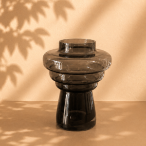Vaas Countryfield disk bruin
