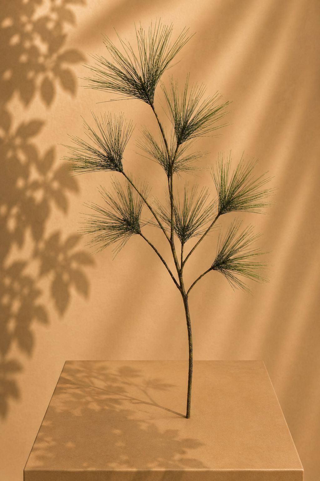 By moos dennen tak pine branche