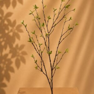 WinQ Zijdebloem betula groen