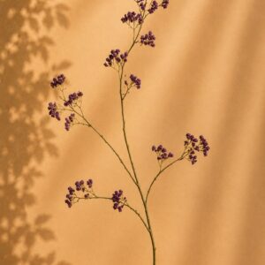 WinQ zijdebloem paarse bes mini delphinium