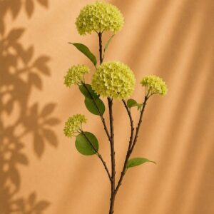 By moos snowball green hortensia